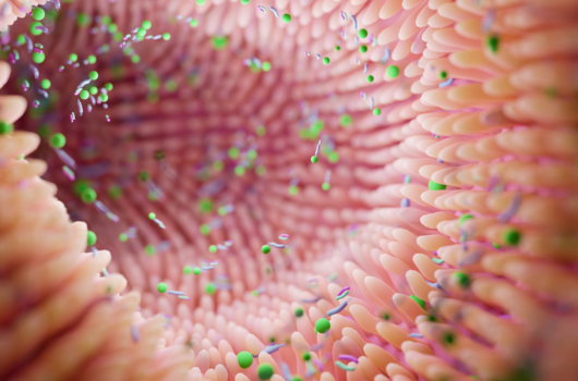 Calprotectina fecal